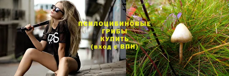 Псилоцибиновые грибы мухоморы  Пятигорск 